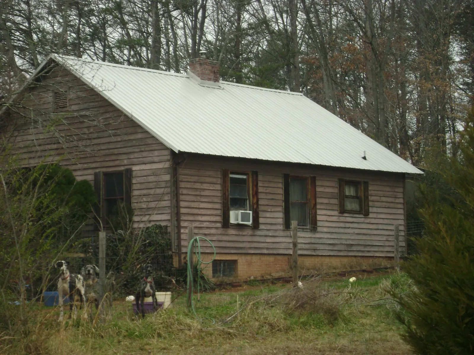 White metal roof on an old wood sided farmhouse, from a Metal Roof Installation job in Mineral